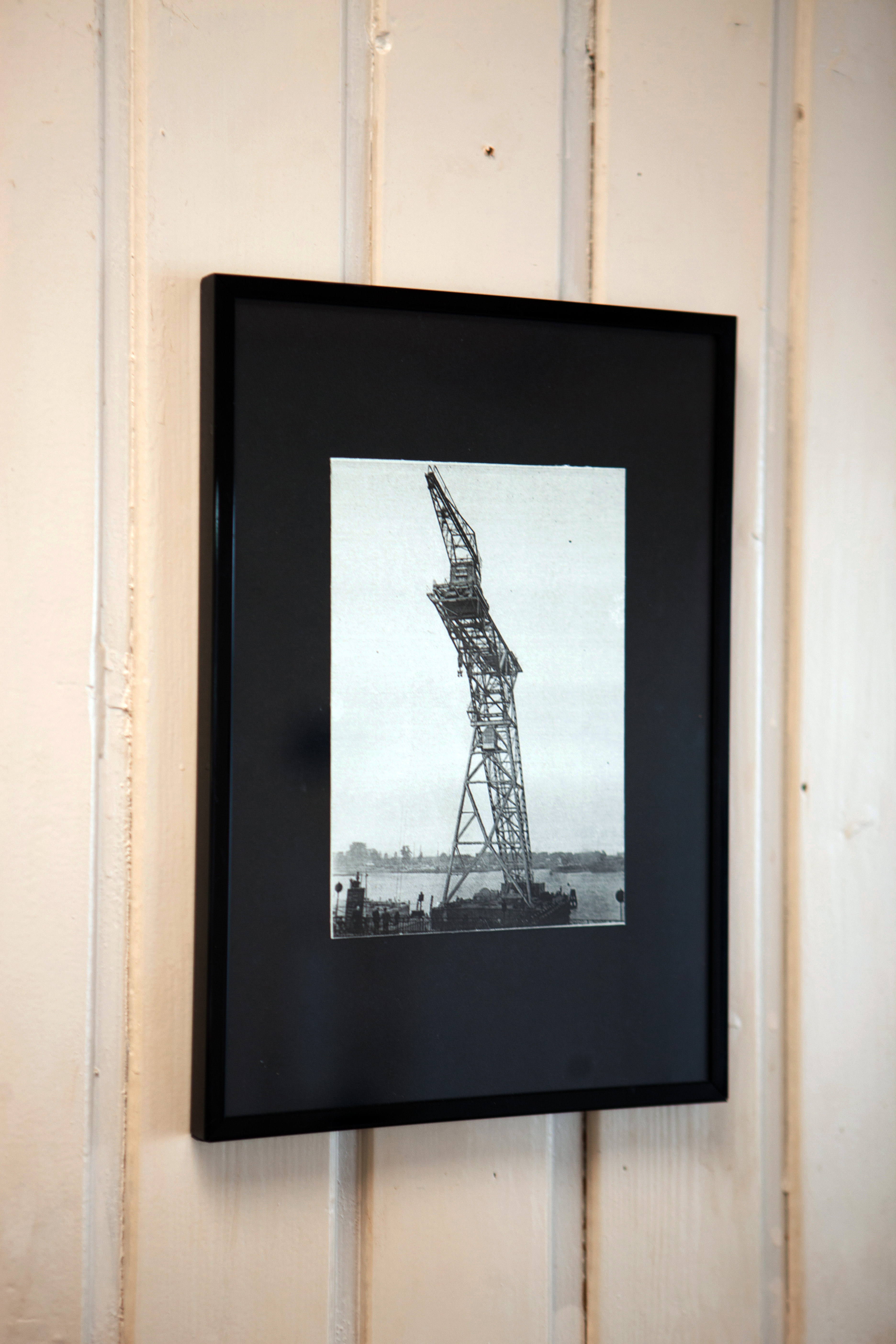 Framed crane image installed inside Petra Ark Space