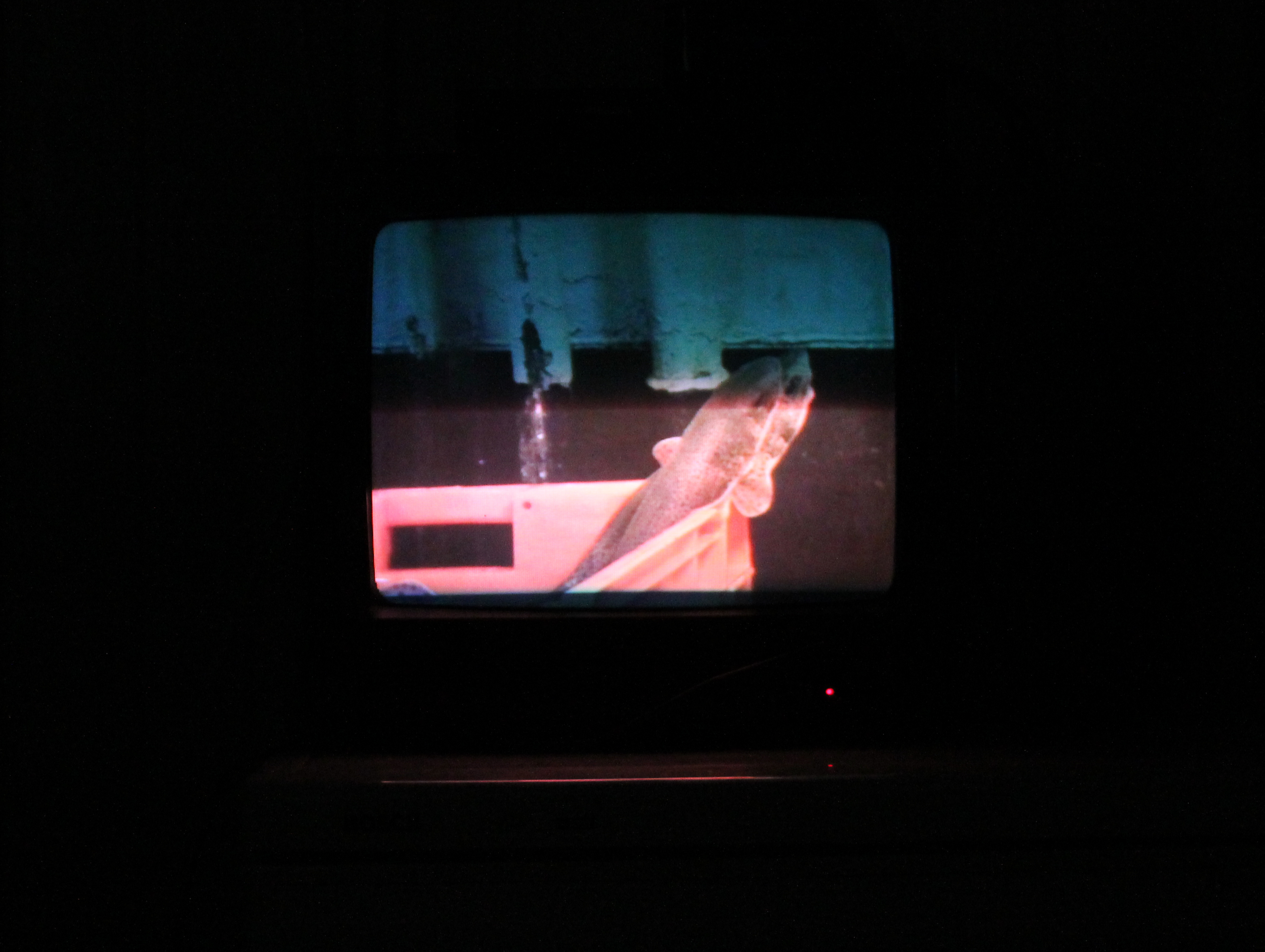 Video monitor documentation image